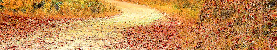 Herfst